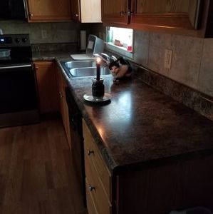 Meet your Posher, Janet